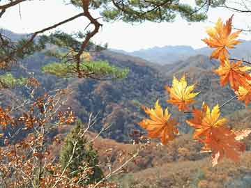 11月8日晚19点让我们相聚梁山复古1.70月卡新区 一剑霜寒